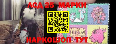 СК Донецк